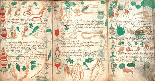 Il manoscritto Voyni